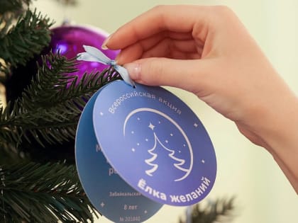 В рамках Всероссийской акции «Елка желаний» уже исполнено 181 детское желание