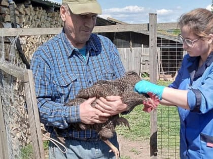 Лучший ветврач Кировской области рассказала, почему выбрала эту профессию