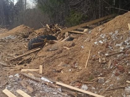 В Кировской области у Советского тракта заметили свалку лесопильных отходов