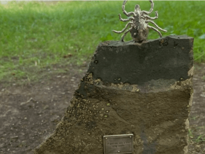 Валера не дремлет: в Кировской области проснулись клещи