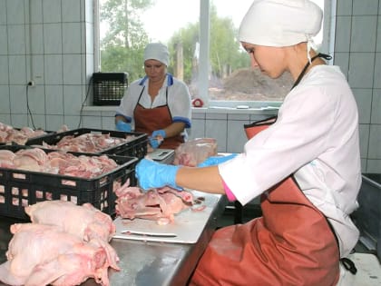На две кировские птицефабрики придут с проверкой