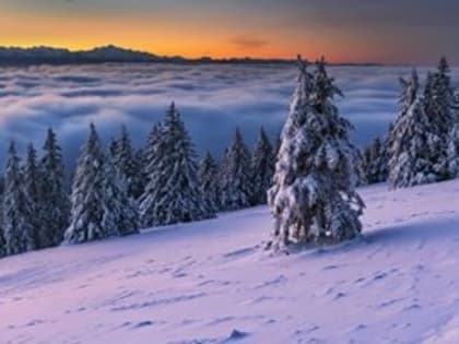 11 января кировчанам советуют не ходить в одиночку в лес, не сплетничать, не жаловаться на жизнь