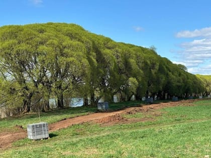 К июлю в Костино вокруг пруда вымостят пешеходную дорожку