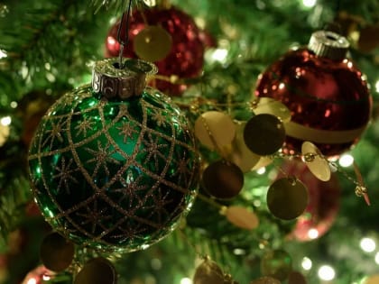 Губернатор Александр Соколов поддержал выделение средств на подарки школьникам к Новому году