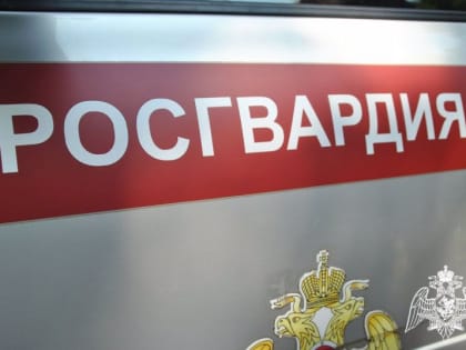 В Кирове задержали подозреваемых в нарушении общественного порядка
