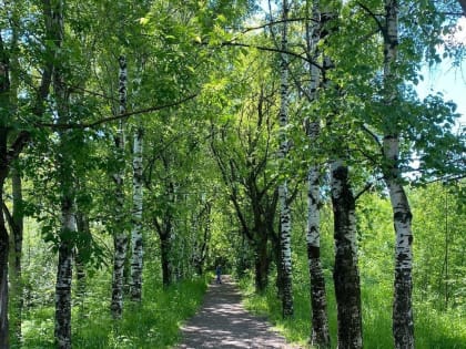 В Кирове стартовала реализация проекта «Парк у реки»