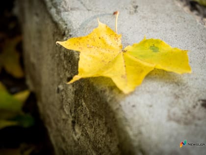 Прогноз погоды для Кирова на следующую неделю