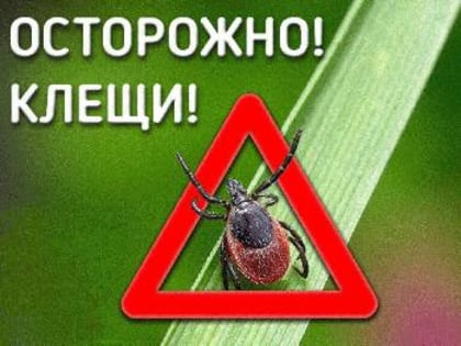 Инфекции, передающиеся с укусами клещей