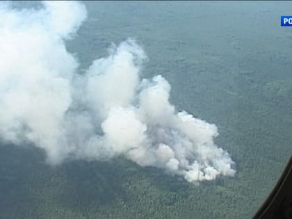 За сутки в Кировской области было зарегистрировано пять лесных пожаров