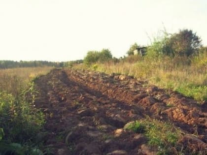 В Кирове делают противопожарные полосы