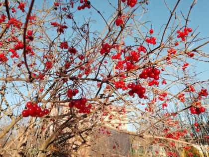 Метеорологи спрогнозировали теплый ноябрь