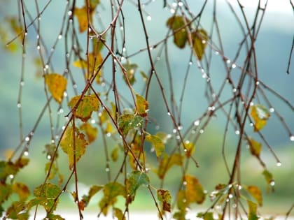 Днем небольшой дождь