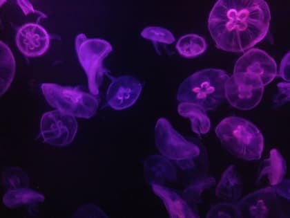 Эксперт рассказал о простом способе очистить организм от ядов