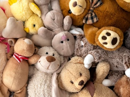 Более 470 жителей Кировской области готовы представить свои игрушки