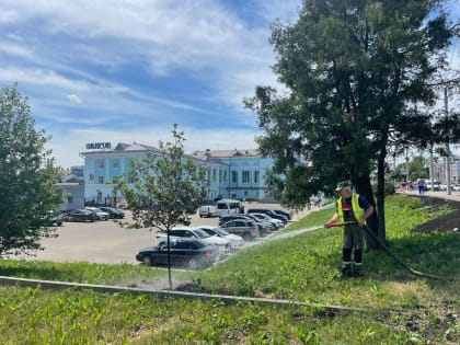 Волонтерское исследование биоразнообразия в Кирове