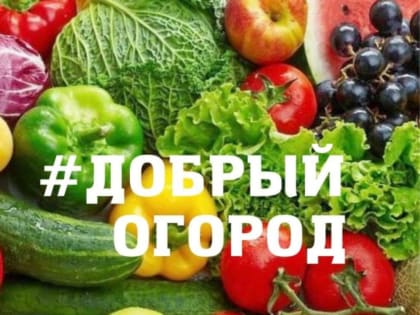 Итоги всероссийского конкурса #Добрый огород
