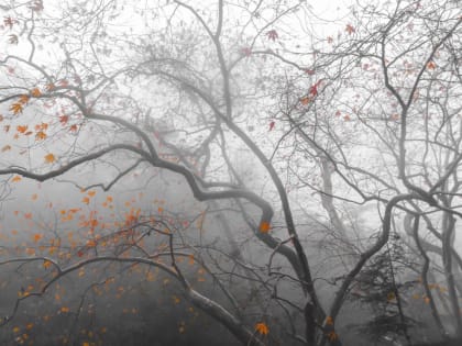 Облачная суббота