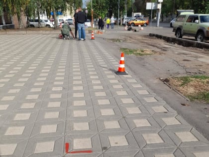 У мэрии Кирова появятся ниши под озеленение