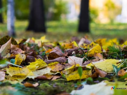 В Кирове начнет теплеть к концу недели
