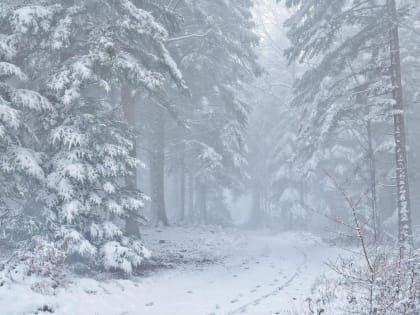 Температура не ниже -10 градусов