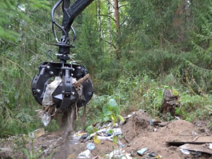 В Кировской области виновных в незаконных свалках ищут через фотоловушки