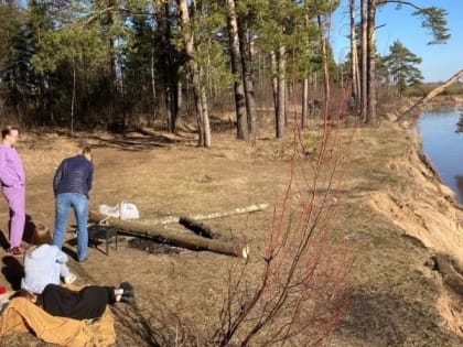 Клещи ненавидят этот запах: стоит лишь 45 рублей, а защищает в сто раз лучше магазинного аэрозоля