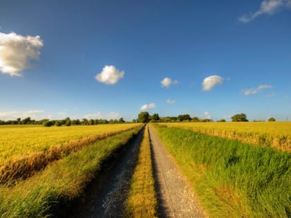 По-летнему тепло