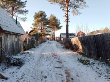 На следующей неделе в Кирове прогнозируют мокрый снег