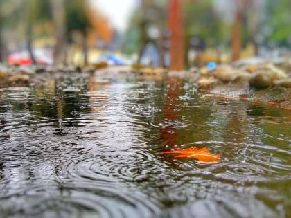 Ночью сохраняются плюсовые температуры