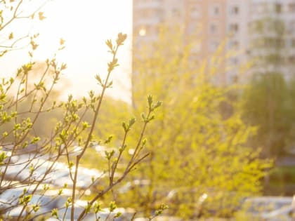 Небольшое потепление