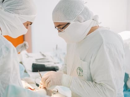 Медицинский подвиг в Кирове: сложные операции для сестёр-близняшек