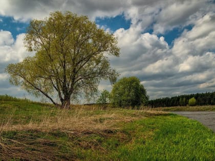 На улице похолодает