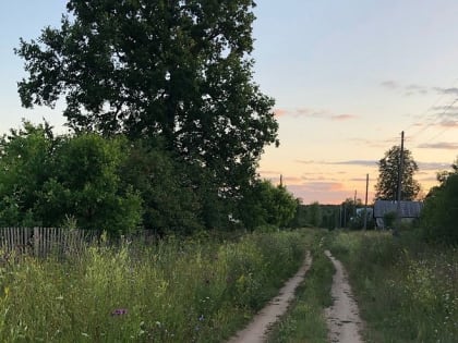 В Кировской области введен второй карантин из-за уссурийского полиграфа