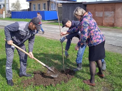 Проводятся мероприятия по озеленению Омутнинска