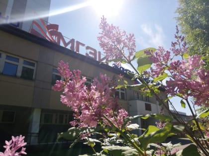 27 лет Кировскому институту МГЭУ!