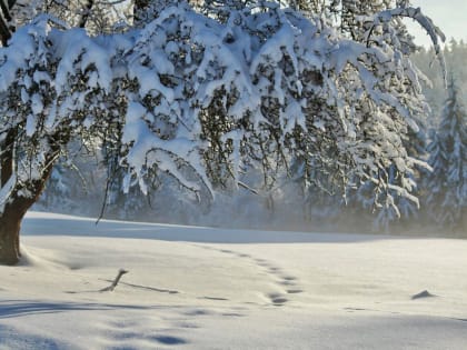 Без существенных осадков
