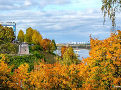 Сегодня в Кирове будет прохладно и пасмурно