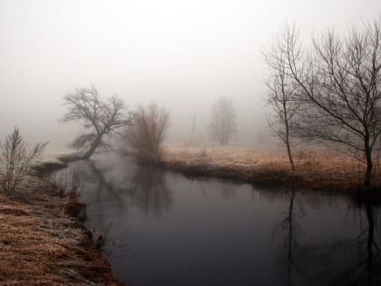 В четверг тепло и пасмурно