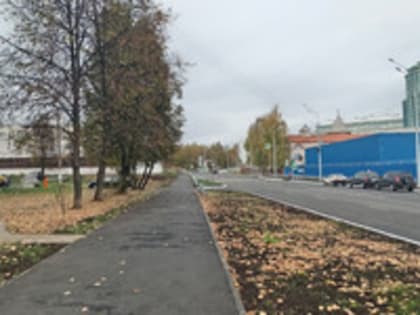 В Кировской области объявили метеопредупреждение из-за ветра