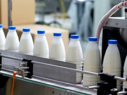 Объем производства молока на Вятке в 2023 году превысит 800 тысяч тонн