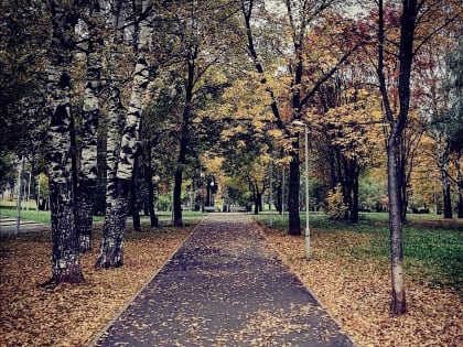 В четверг в Кировской области ожидаются дожди
