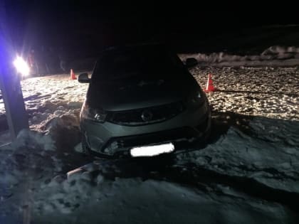 В Кировской области пьяный водитель иномарки сбил трех человек