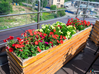 Кировчан ждет жаркая и дождливая неделя