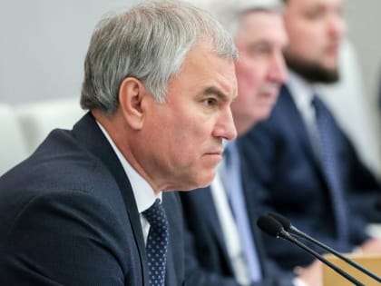 Володин пригрозил релокантам статьей УК и рудниками