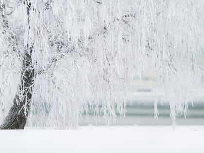 Рекомендации кировчанам для безопасной встречи холодов