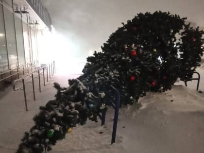 В Кирове в неравной борьбе с метелью пали две новогодние елки