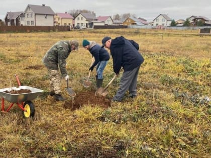 Субботник в парке имени А. Логинова