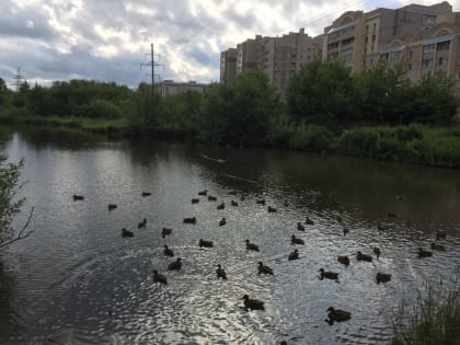 На субботнике-фестивале «Солнечная Люльченка» обсудят важность рек в жизни города