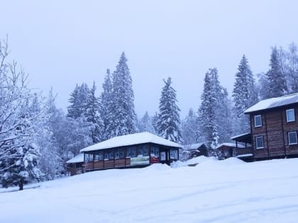 Роман Вильфанд поделился прогнозом погоды на январь и февраль: зима в России полностью отменяется?
