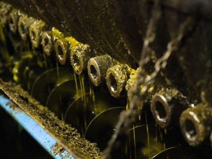 Киров экспортировал в Китай почти втрое больше рапсового масла